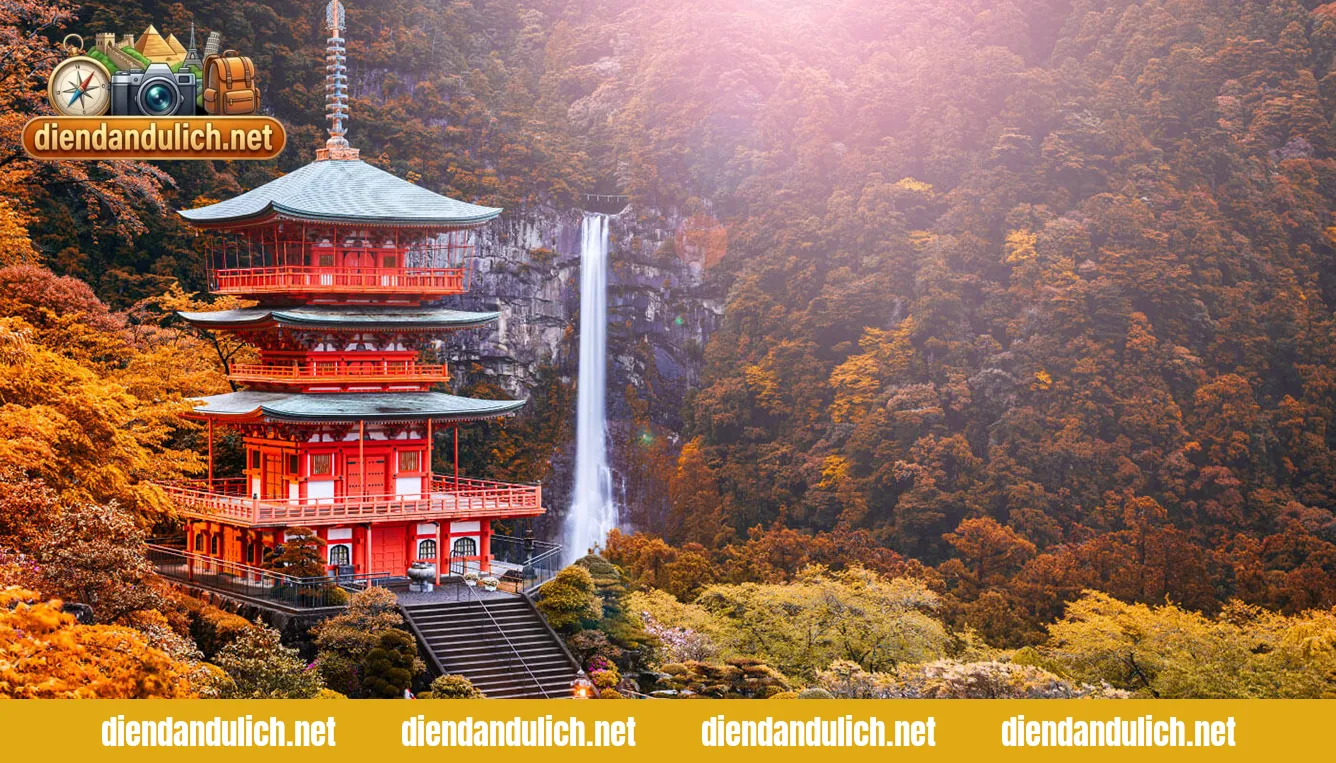 Kinh Nghiệm Khám Phá Xứ Sở Hoa Anh Đào