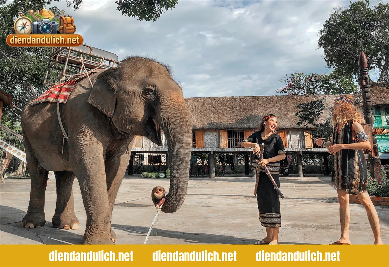 Không gian du lịch sinh thái xanh mát tại Tây Nguyên, cung cấp hình ảnh thực tế cho du khách đang lên kế hoạch khám phá vùng cao nguyên tự túc