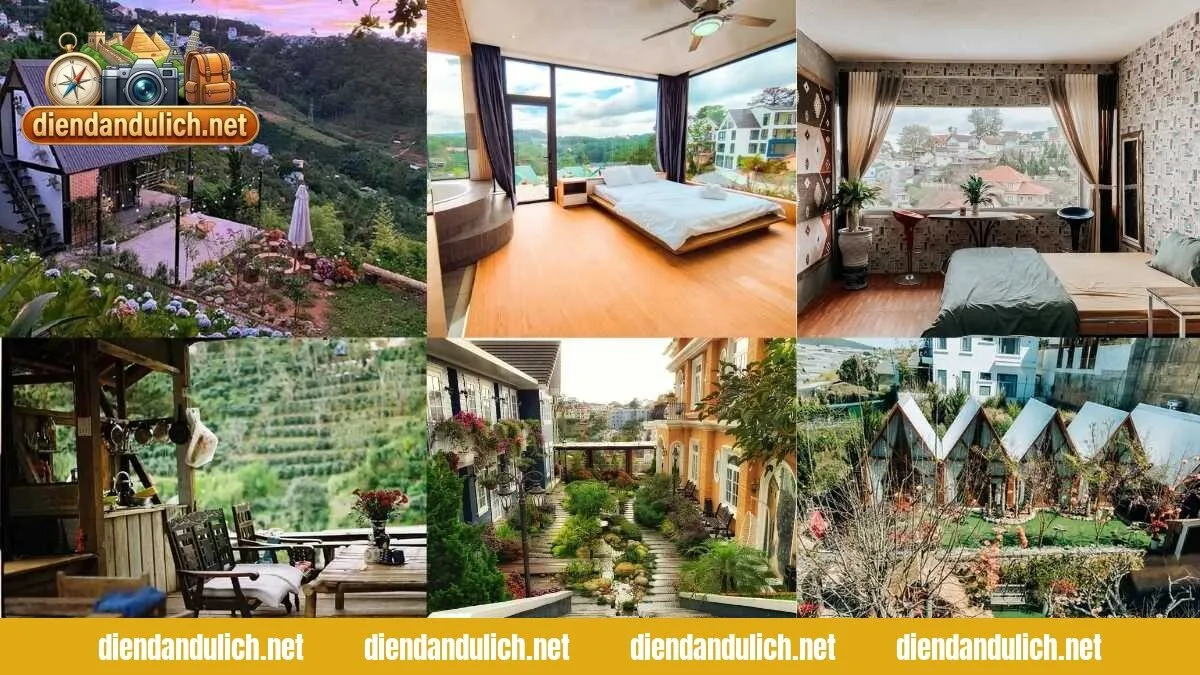 Top Homestay Đà Lạt Đẹp & Ấn Tượng