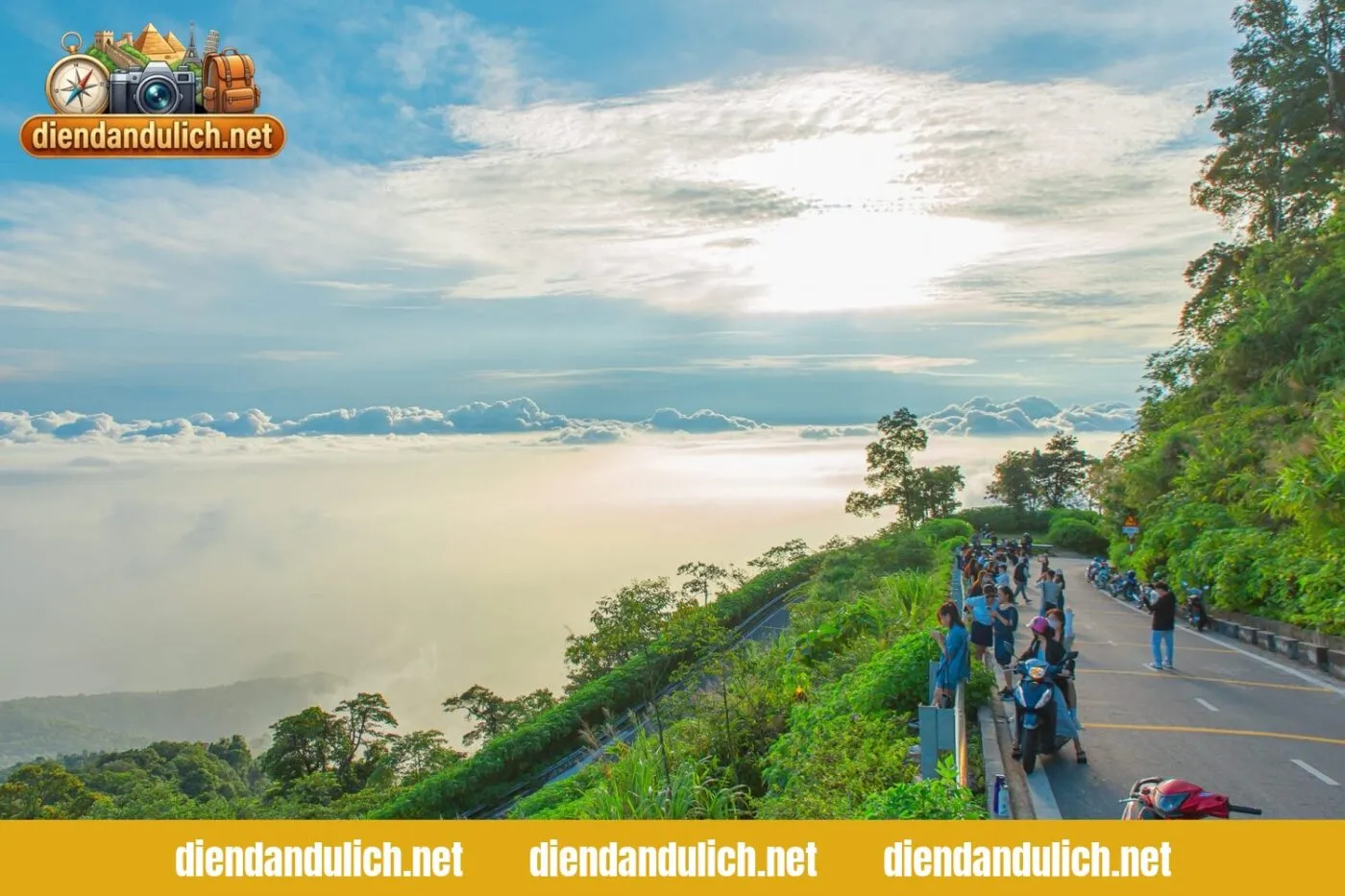 Khung cảnh rừng thông tại Ba Vì trong ánh nắng, minh họa cho lựa chọn nghỉ dưỡng hoàn hảo cho lịch trình 2 ngày 1 đêm