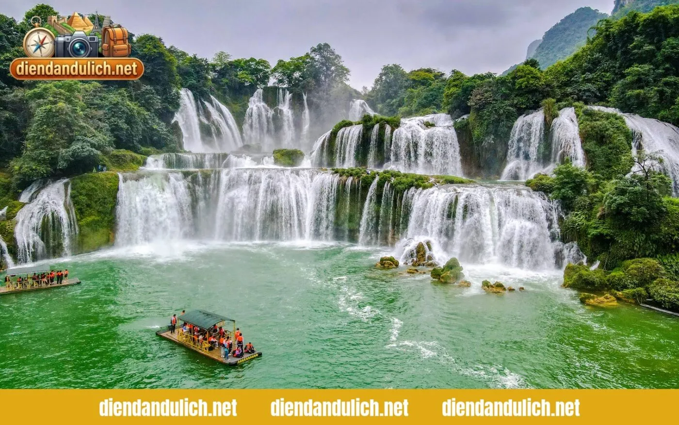 Những thửa ruộng bậc thang vàng óng uốn lượn giữa mây ngàn, minh họa cho vẻ đẹp thiên nhiên hùng vĩ và đặc trưng của vùng cao Tây Bắc